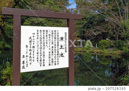 静岡 富士山本宮浅間大社 湧玉池 107526193