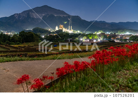 《埼玉県》彼岸花が咲く寺坂棚田と武甲山・夜景 107526201