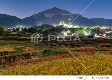 《埼玉県》彼岸花が咲く寺坂棚田と武甲山・夜景 107526210