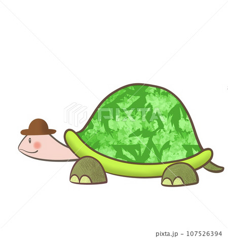 かわいいカメのイラスト 107526394