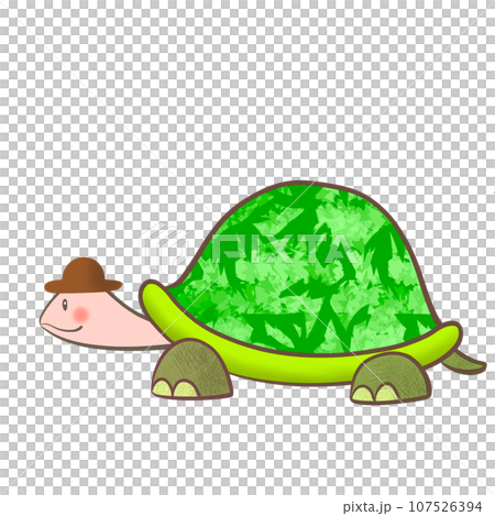 かわいいカメのイラスト 107526394