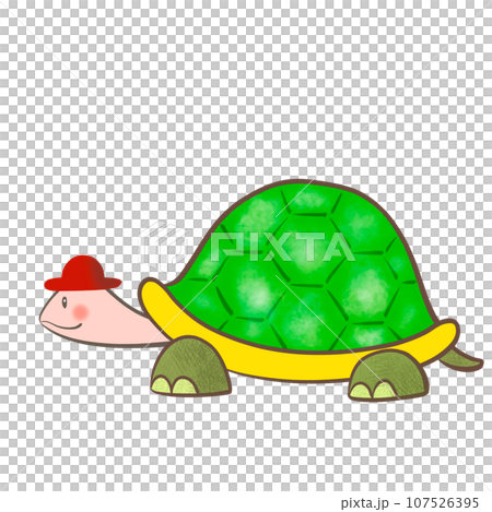 かわいいカメのイラスト かわいいカメのイラスト 107526395