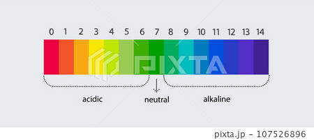pH scale indicator chart. Acidic Alkaline measure. pH analysis chemical scale value test. Vector pH scale indicator chart. Acidic Alkaline measure. pH analysis chemical scale value test. Vector 107526896