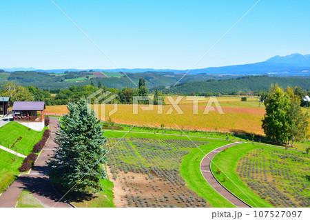美瑛町 北西の丘展望公園 美瑛町 北西の丘展望公園 107527097