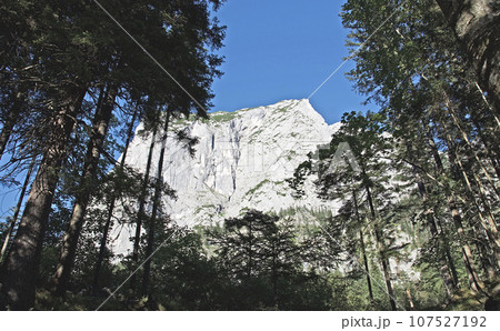 オーストリアのアルタウスゼー湖畔から見上げた、高さが約600メートルトリッセル山の岩壁の景色（風景） 107527192