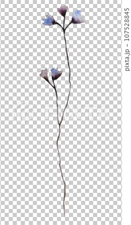 Watercolor blue and grey wildflowers isolated illustration, floral wedding and greeting element 107528845