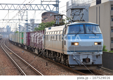 東海道本線を走るEF66117コンテナ貨物列車 東海道本線を走るEF66117コンテナ貨物列車 107529016