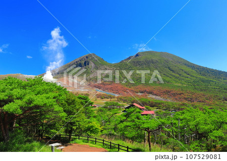 【宮崎県】晴天の霧島 韓国岳（えびの高原） 107529081