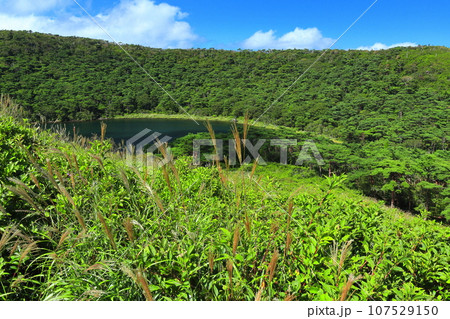 【宮崎県】晴天の霧島の白紫池(えびの高原) 【宮崎県】晴天の霧島の白紫池(えびの高原) 107529150