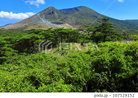 【宮崎県】晴天の霧島 韓国岳（えびの高原） 107529152