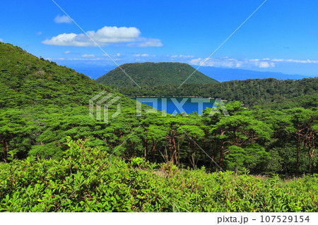 【宮崎県】晴天の霧島の六観音御池（えびの高原） 107529154