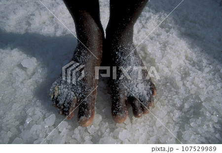 AFRICA CAPE VERDE SAL SALT MINES 107529989