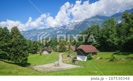 idyllic farmhouse in the swiss alps idyllic farmhouse in the swiss alps 107530348