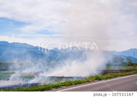 道路沿いからの田んぼの藁焼き風景 道路沿いからの田んぼの藁焼き風景 107531167