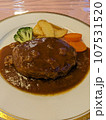 皿に乗ったハンバーグ 107531520