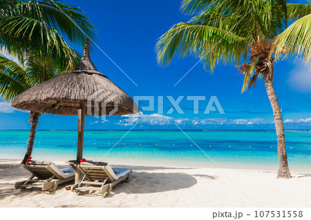 Chairs and umbrella at coconut palm beach. Tropical holiday banner with ocean in Mauritius Chairs and umbrella at coconut palm beach. Tropical holiday banner with ocean in Mauritius 107531558