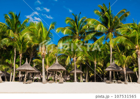 View of tropical beach with chairs and umbrellas, palms and blue sky View of tropical beach with chairs and umbrellas, palms and blue sky 107531565