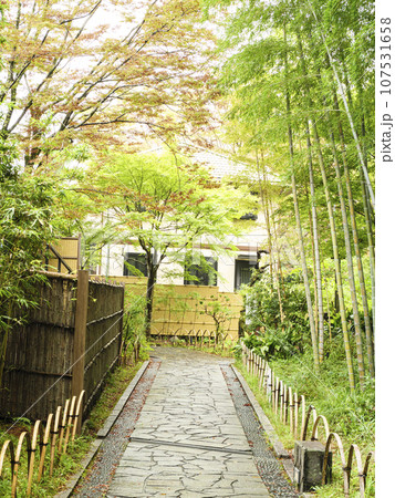 緑に包まれた渓流（修善寺） 107531658