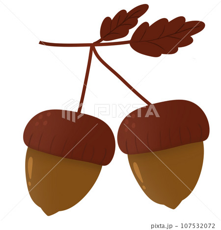 Autumn Oak Balls Autumn Oak Balls 107532072