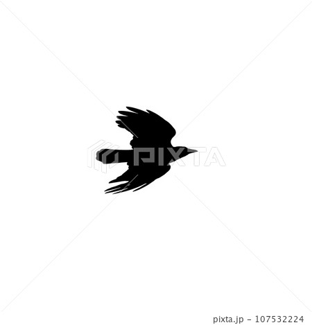Black crow flies fast in the sky, silhouette photo isolated on white Black crow flies fast in the sky, silhouette photo isolated on white 107532224