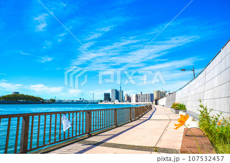 10月東京葛飾区奥戸に流れる中川沿いの景色 10月東京葛飾区奥戸に流れる中川沿いの景色 107532457