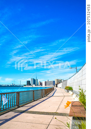 10月東京葛飾区奥戸に流れる中川沿いの景色 107532458