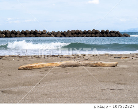 砂浜の流木。 107532827