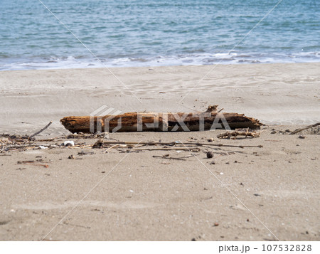 砂浜の流木。 砂浜の流木。 107532828