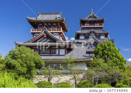 伏見桃山城 夏(京都府京都市伏見区) 伏見桃山城 夏(京都府京都市伏見区) 107534840