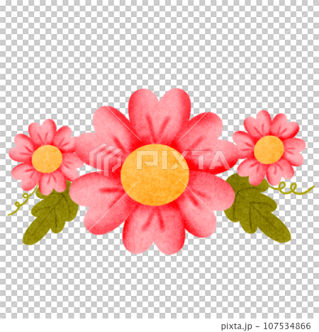 Beautiful flowers, grouped flowers 107534866