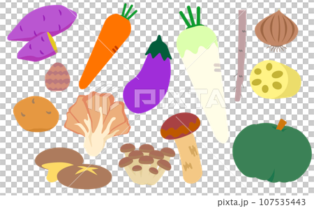 秋の野菜セット 秋の野菜セット 107535443