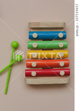 cymbals for children. Eco-friendly colored wooden educational toys according to the Montessori method for preschool children. Children's wooden toys. Educational logic toys for kids.  107535657