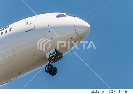 【城南島海浜公園上空から着陸態勢のJAL機】 107536466