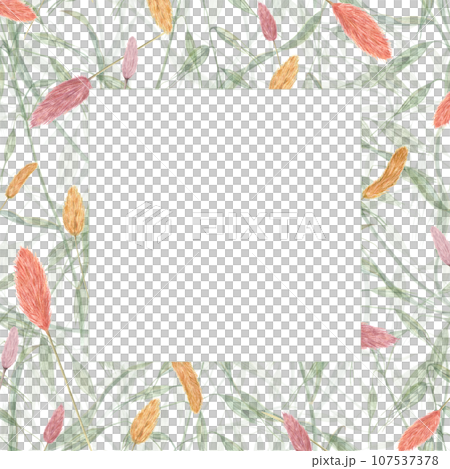 Square frame of dried lagurus and wild oats. Watercolor illustration of avena and bunny tail. Wild herbs, green plants. For postcards, invitations. Space for text 107537378