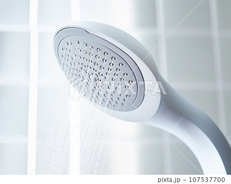 シャワーヘッド 107537700
