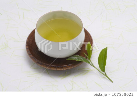 茶と新芽 茶と新芽 107538023