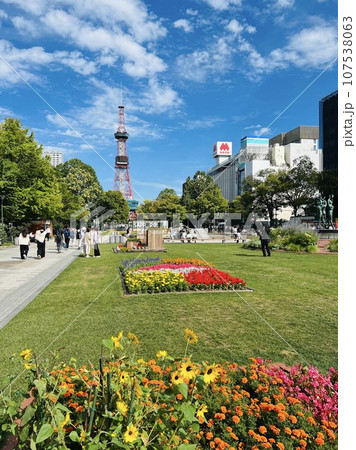 北海道札幌市の大通公園のきれいな青空の下の花壇とテレビ塔の見える景色 107538063