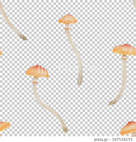 Watercolor hand drawn seamless pattern of mushrooms summer honey fungus. Galerina marginata illustration, forest toadstool clip art for for packing eco goods, gifts, paper, background, textiles, print 107538155