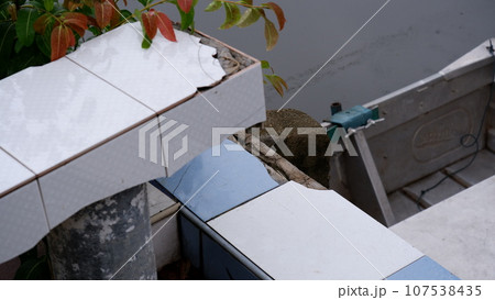 Bang-ranae canal Bang-ranae canal 107538435