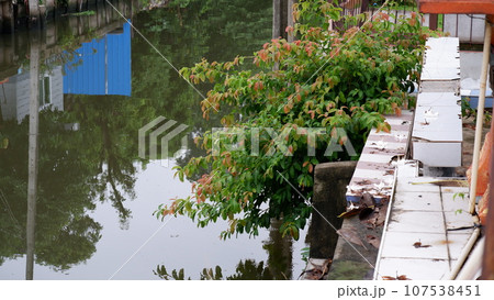 Bang-ranae canal Bang-ranae canal 107538451
