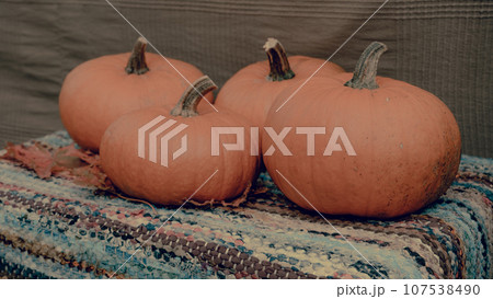 Pumpkin concept. Traditional symbol of autumn harvest, pumpkin soup, pie, Thanksgiving. Agricultural land. Selective focus. Autumn organic vegetables background. Rural market Pumpkin concept. Traditional symbol of autumn harvest, pumpkin soup, pie, Thanksgiving. Agricultural land. Selective focus. Autumn organic vegetables background. Rural market 107538490