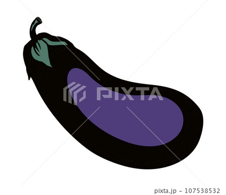 Ripe eggplant. Vector drawing icon 107538532