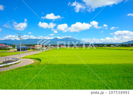 水田と浅間山【佐久市根岸】 水田と浅間山【佐久市根岸】 107538991