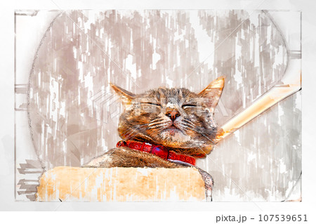 スケッチ風 猫 ネコ ねこ キジトラ グレー 雌 メス 雌ねこ 雌ネコ 元気 かわいい 癒し スケッチ風 猫 ネコ ねこ キジトラ グレー 雌 メス 雌ねこ 雌ネコ 元気 かわいい 癒し 107539651