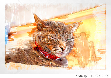 スケッチ風 猫 ネコ ねこ キジトラ グレー 雌 メス 雌ねこ 雌ネコ 元気 かわいい 癒し スケッチ風 猫 ネコ ねこ キジトラ グレー 雌 メス 雌ねこ 雌ネコ 元気 かわいい 癒し 107539673