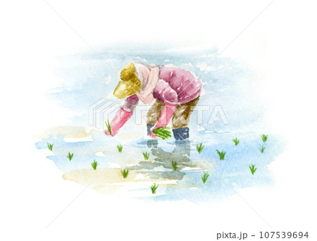 田植えをする女性の水彩画のイラスト素材 [107539694] - PIXTA