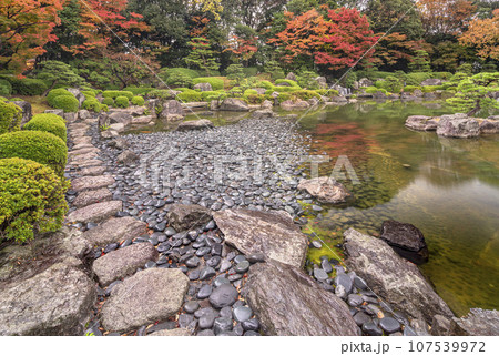 [九州・福岡] 秋の雨に打たれて反射する福岡県立大濠公園日本庭園の池岸の小石の風景。 107539972