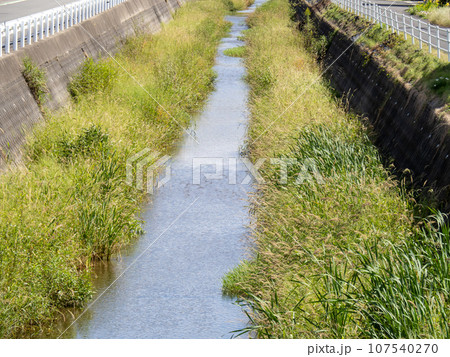子生川(こびがわ)。福井県大飯郡高浜町を流れる二級河川。(10月撮影) 107540270