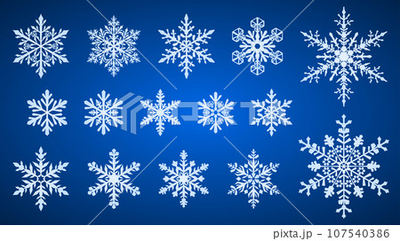 Set of snowflakes 107540386