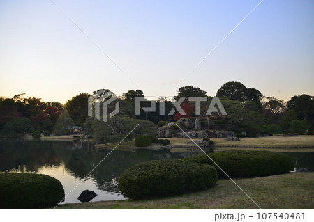 東京観光　紅葉した木々　 107540481